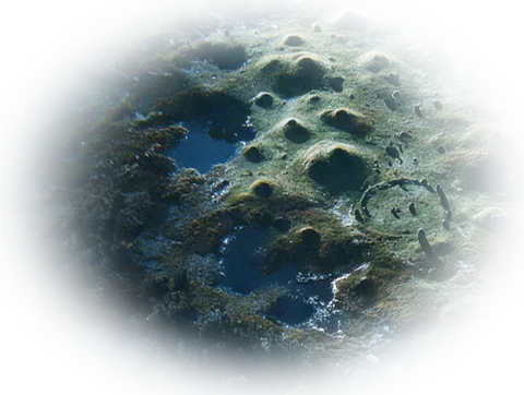 The Barrows: grassed mounds and dark pools under the moon.